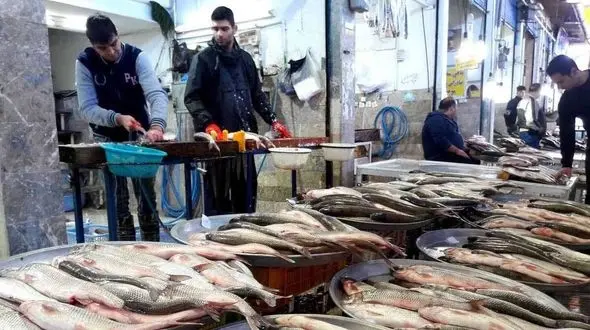 قیمت هرکیلو قزل آلا در بازار اعلام شد