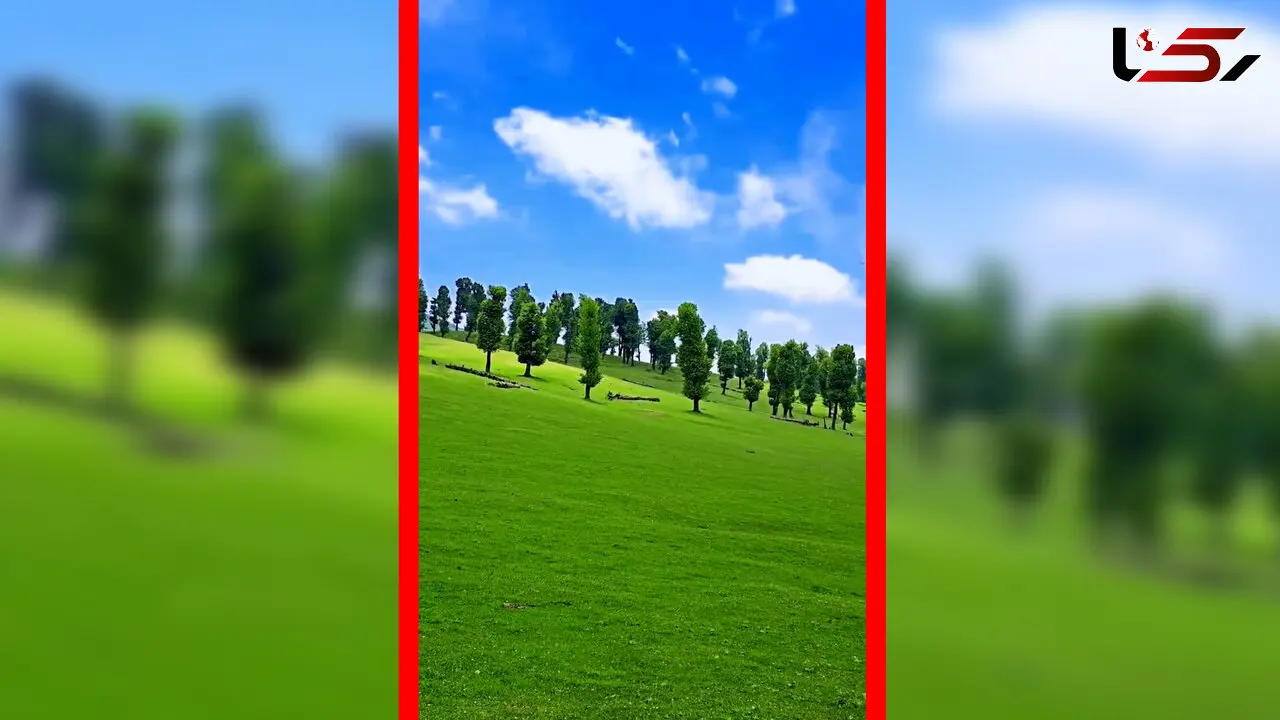 فیلم زیبایی دشت مرکوه مینودشت گلستان