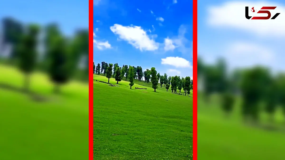 فیلم زیبایی دشت مرکوه مینودشت گلستان