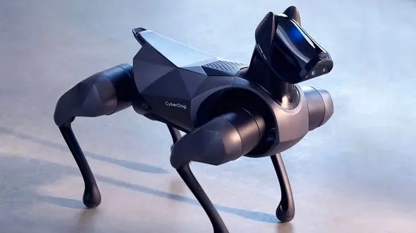 شنای سگ‌های رباتیک در آب / عجیب اما واقعی