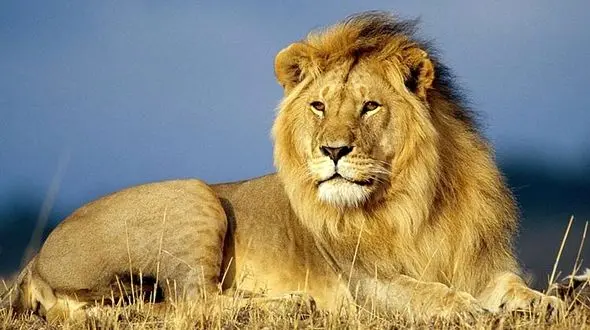 فیلمی که همه دنیا را شوکه کرد! + جزییات