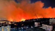 آتش سوزی مرگبار در مناطق جنگلی شیلی / ۲ تن کشته و ۳۰ تن زخمی شدند