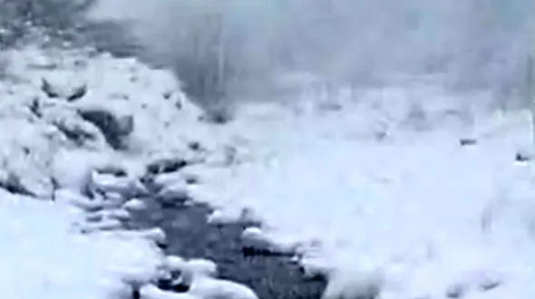 فیلم بارش برف در منطقه کوهستانی سرتنگه سوادکوه