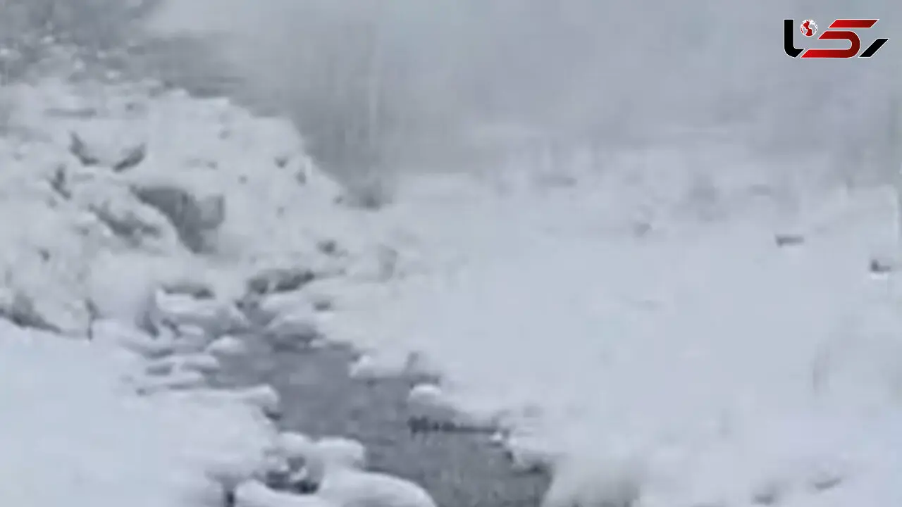 فیلم بارش برف در منطقه کوهستانی سرتنگه سوادکوه