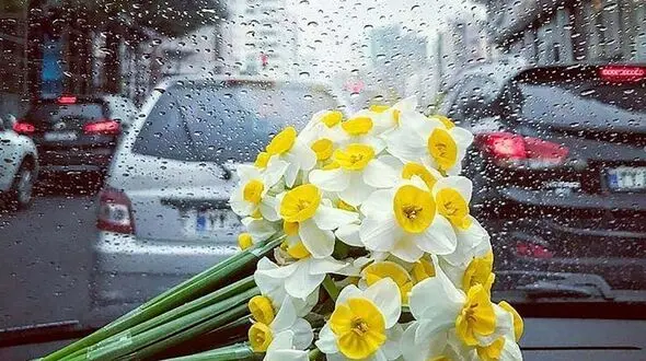 فال ابجد امروز / 21 شهریور + فیلم