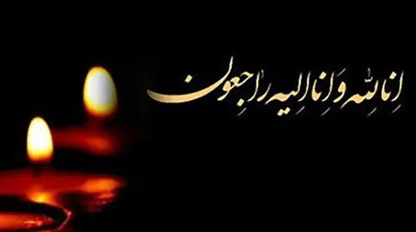 نوازنده برجسته ویولن و کمانچه ایران درگذشت