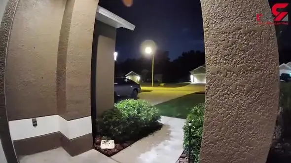 تعقیب یک خانواده توسط خرس سیاه تا خانه شان + فیلم 