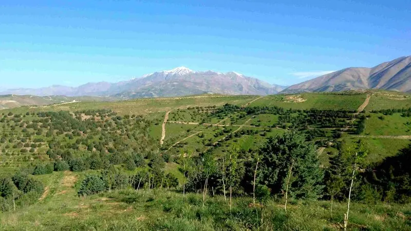 پارک جنگلی تلو