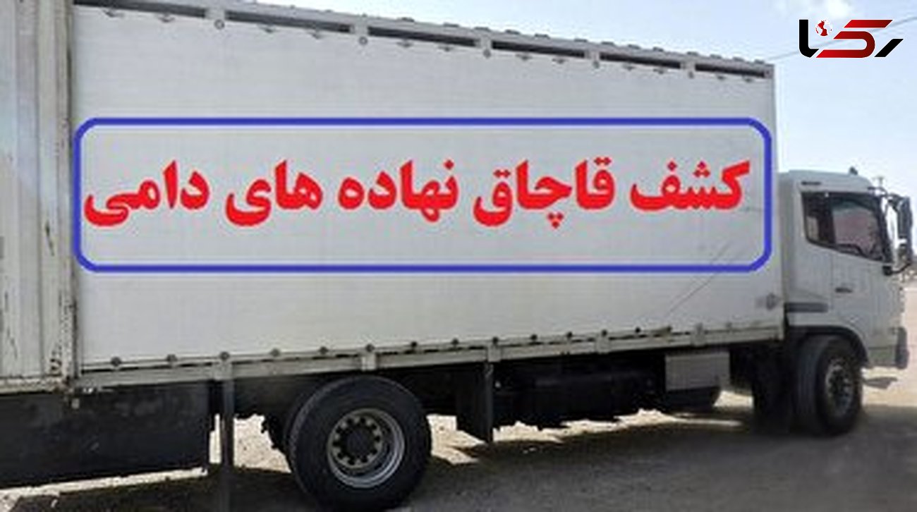 توقیف کامیون حامل 27 تن نهاده دامی قاچاق در کوهدشت