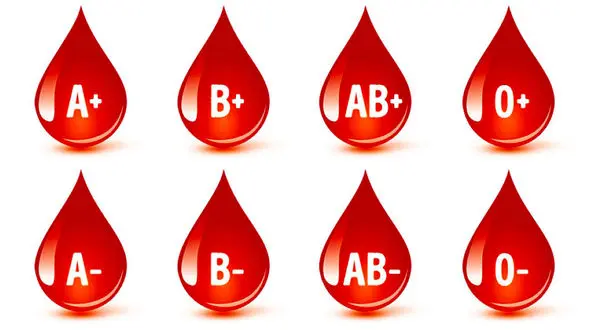 گروه خونی تان چیست ؟! / صاحبان کدام گروه‌خونی خوش‌اندام‌ترند؟ + رژیم زیبایی تان را بخوانید