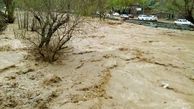  طغیان رودخانه ارتباط 10روستای اندیکا را در خوزستان قطع کرد