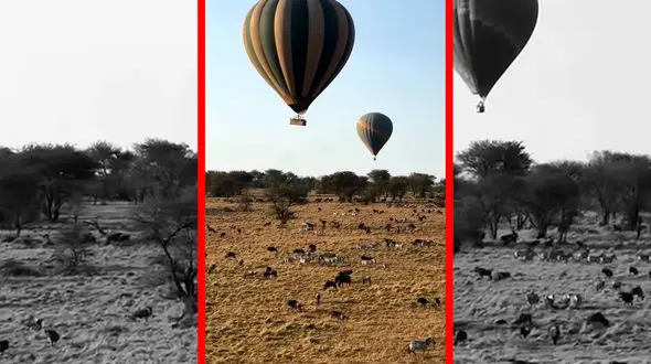 فیلم سفر هوایی کوتاه بر فراز دشت های آفریقا