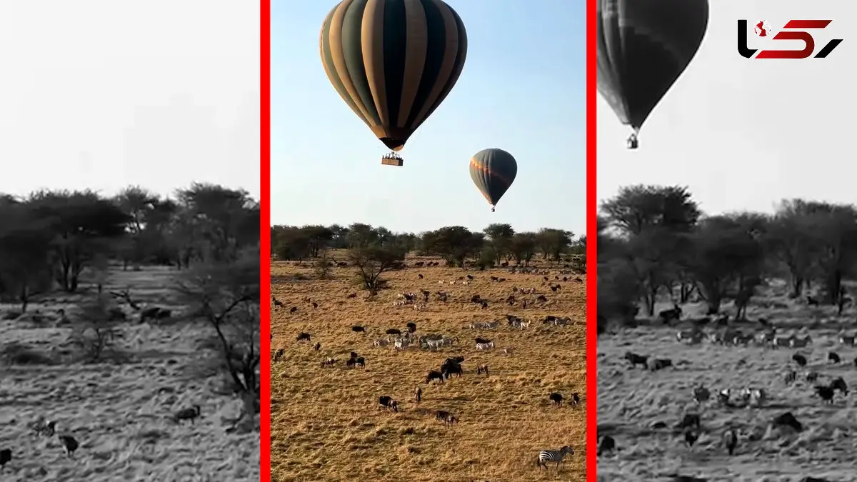 فیلم سفر هوایی کوتاه بر فراز دشت های آفریقا