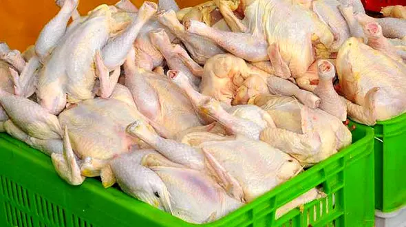 افزایش قیمت مرغ طبیعی است/ حداکثر قیمت شب عید ۷۵۰۰ تومان 