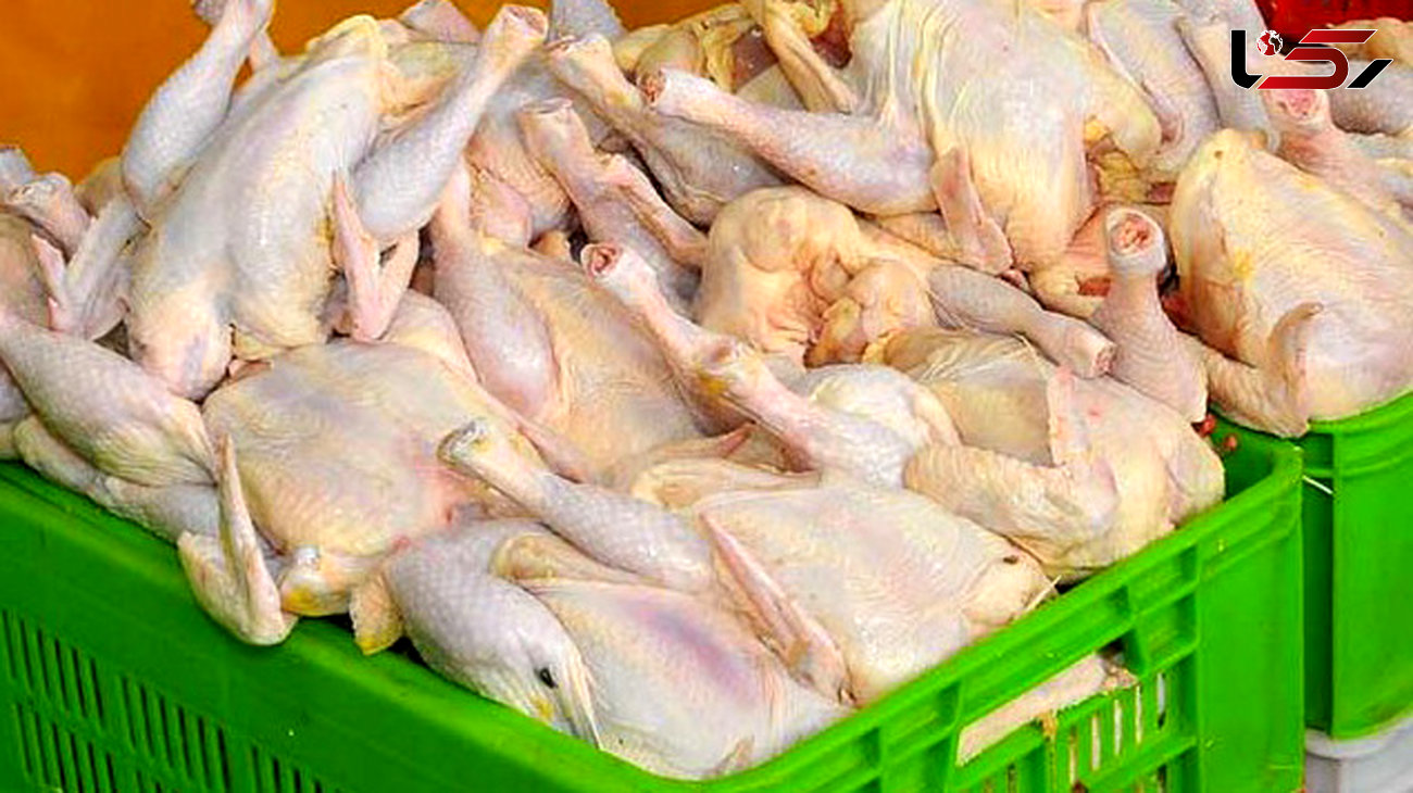 افزایش قیمت مرغ طبیعی است/ حداکثر قیمت شب عید ۷۵۰۰ تومان 