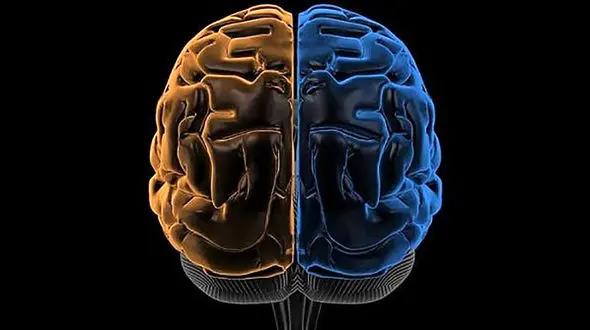 9 عادت صبحگاهی برای افزایش قدرت مغز