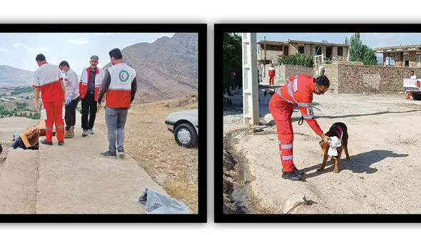 کشف جسم بی جان دختر خرم آبادی بعد از سه روز / جسد او سوخته بود