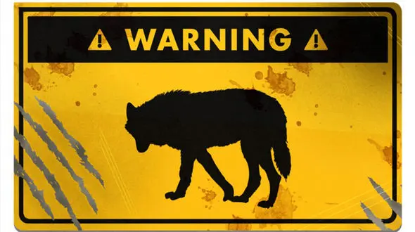 چگونه از حمله گرگ جان سالم به در ببریم؟