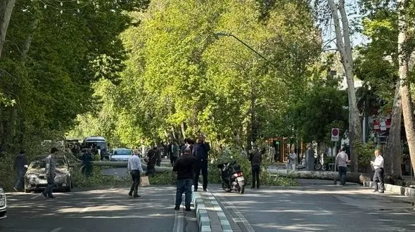 سقوط ناگهانی یک درخت در خیابان ولیعصر تهران