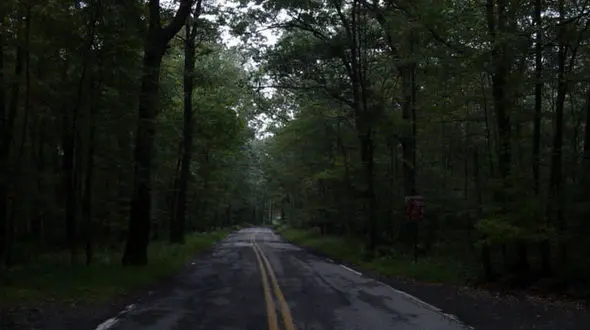 دورهمی های جادوگران در جاده روح پسر+عکس