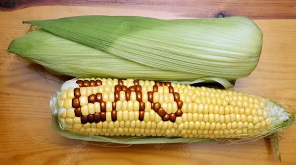 روغن تراریخته زیر ذره‌ بین؛ واقعیت یا شایعه سرطان‌ زایی؟ + فیلم