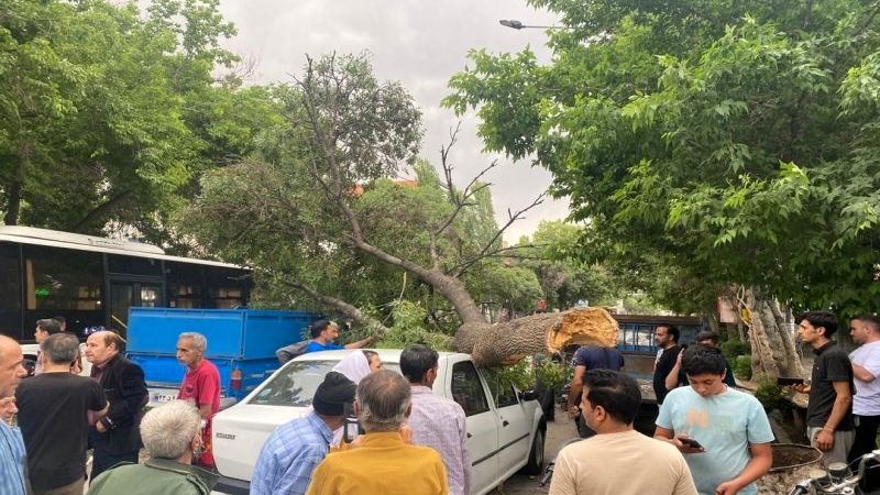 خسارت تندباد ۸۰ کیلومتری در بجنورد