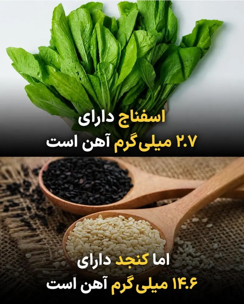 اسفناج