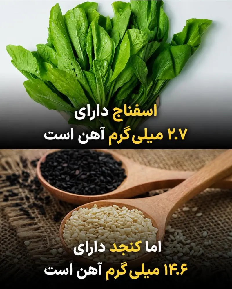 اسفناج