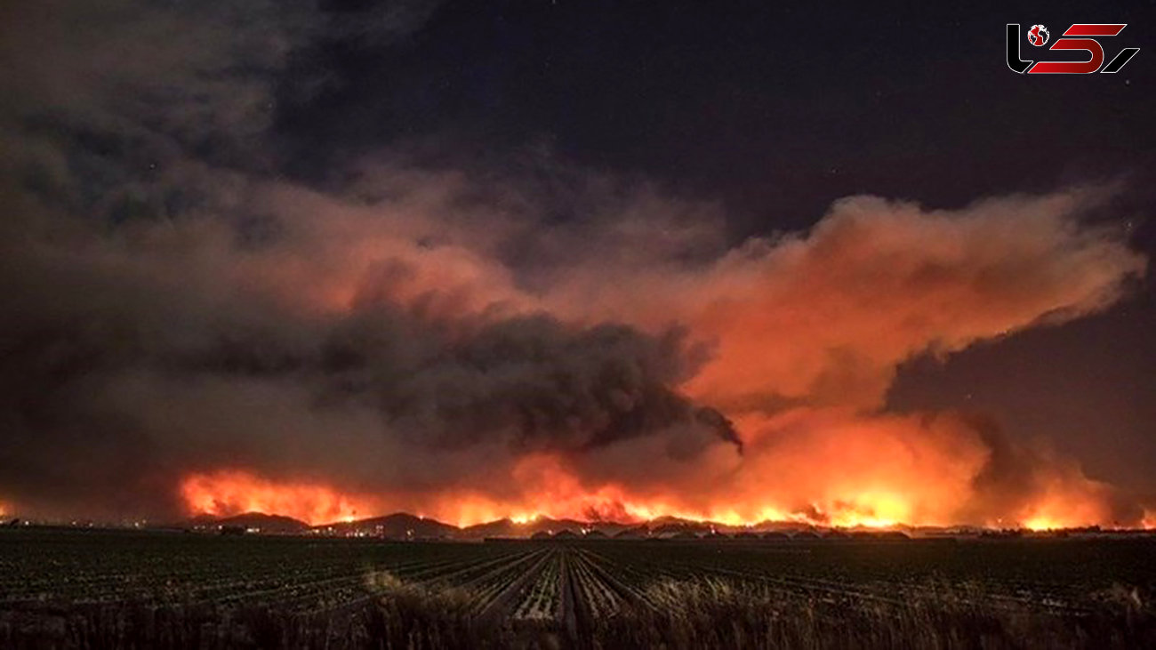 اعلام وضعیت فوق العاده در کالیفرنیای آمریکا / آتش سوزی جنگل ها همه جا را فرا گرفت + فیلم