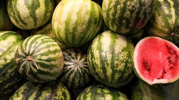 هندوانه‌ ایران «مین شیمیایی» است؟ / پس از فلفل و کیوی، حالا نوبت هندوانه؟ / سکوت عجیب وزارت جهاد کشاورزی!