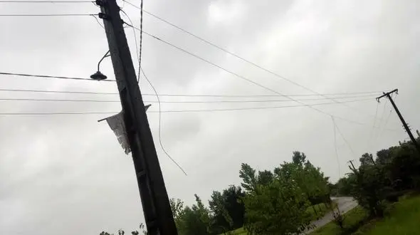 مرگ سارق بدشانس فومنی / یک گاو را هم به کشتن داد