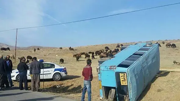 بلای وحشتناک بر سر 11 دانش آموز دختر  کرمانشاهی + جزییات
