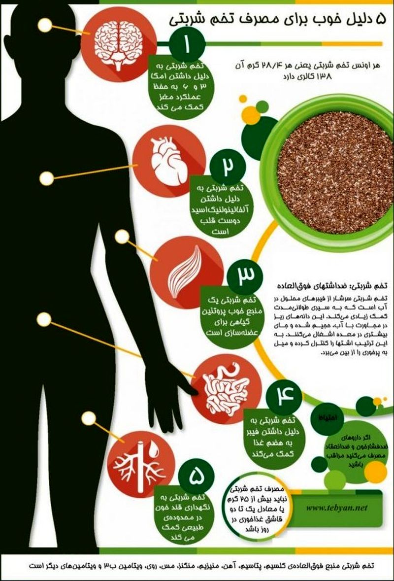 خواص تخم شربتی