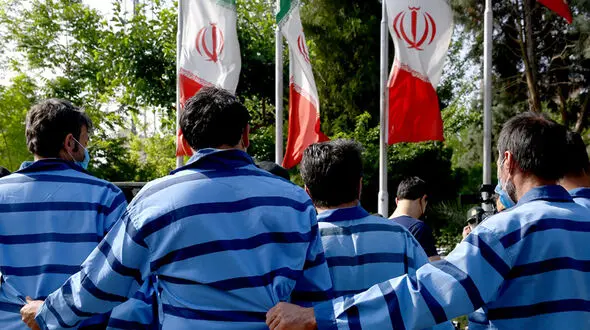 دستگیری عاملان قطع درختان پسته در ورامین