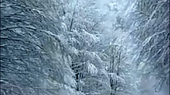 فیلم سفر به دل طبیعت؛ مسیر دیدنی زمستانی سیاهکل تا دیلمان همراه با نوای دلنشین مرحوم ناصر مسعودی