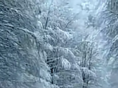 فیلم سفر به دل طبیعت؛ مسیر دیدنی زمستانی سیاهکل تا دیلمان همراه با نوای دلنشین مرحوم ناصر مسعودی