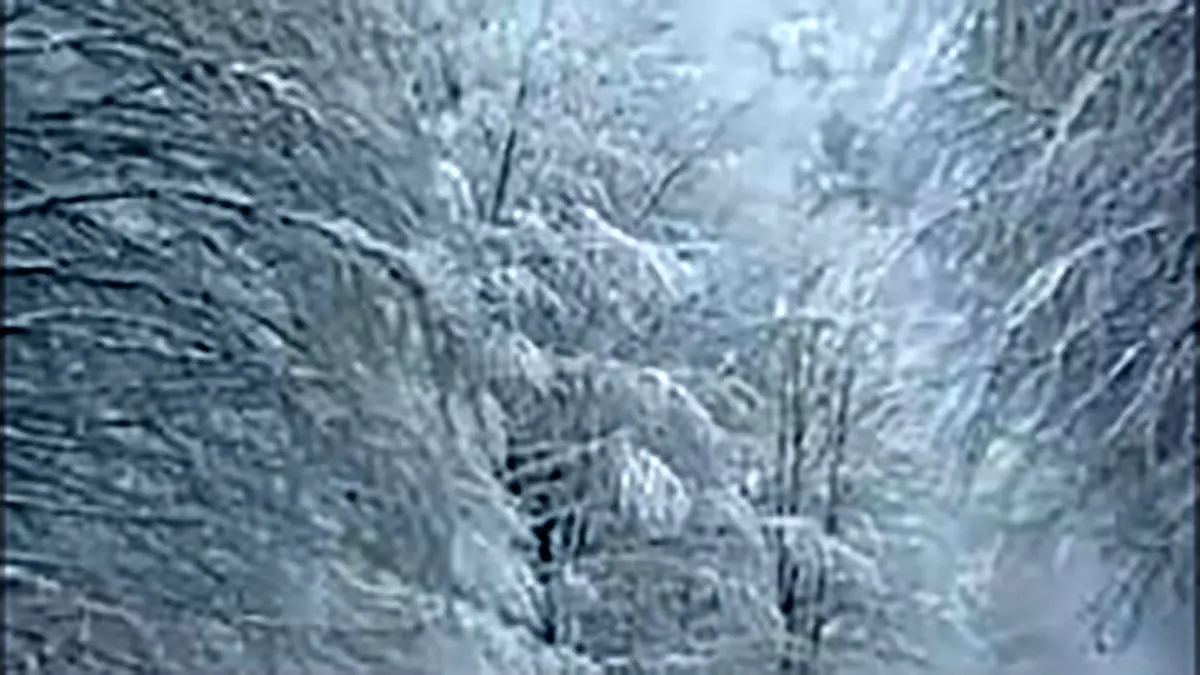 فیلم سفر به دل طبیعت؛ مسیر دیدنی زمستانی سیاهکل تا دیلمان همراه با نوای دلنشین مرحوم ناصر مسعودی