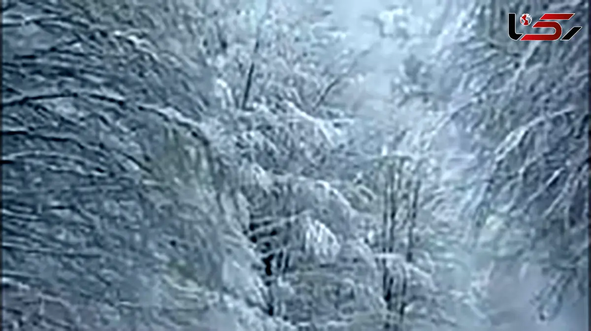 فیلم سفر به دل طبیعت؛ مسیر دیدنی زمستانی سیاهکل تا دیلمان همراه با نوای دلنشین مرحوم ناصر مسعودی