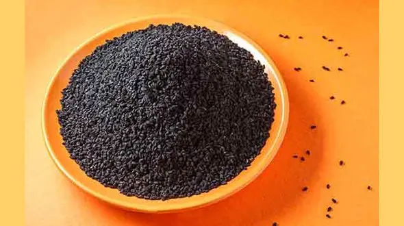 گیاهی که پیامبر(ص) آن را درمانی برای هر بیماری معرفی کردند