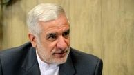 جمالی: شکست سرویس‌های امنیتی فرانسه و موساد یک پیروزی برای ایران است