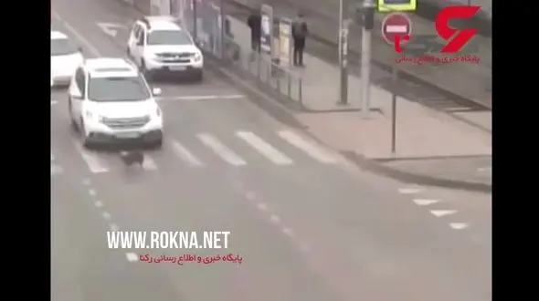 وقتی یک سگ در خیابان حادثه ساز می شود! + فیلم