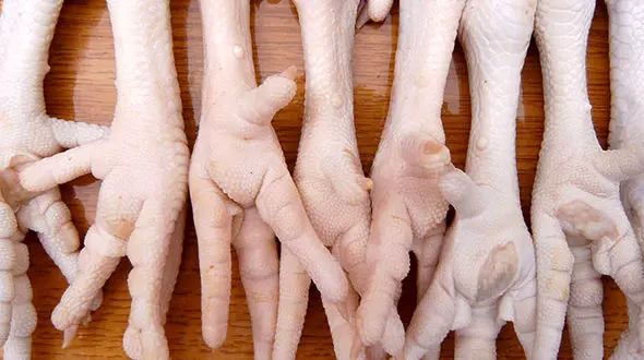 صادرات پای مرغ ایران به چین