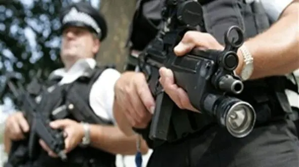 وقتی یک گربه، رئیس پلیس می‌شود! + فیلم
