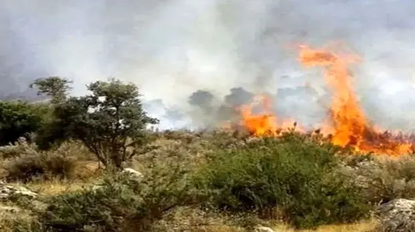 فیلم / استفاده از هواپیمای ایلیوشین ۷۶ سپاه برای اطفای حریق جنگل الیت چالوس