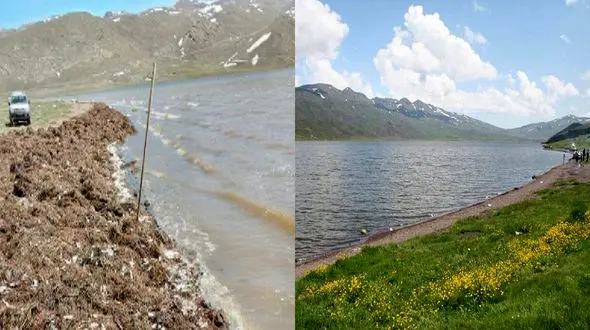 " نئور"  تالابی که در حال تبدیل شدن به مرداب / لزوم رونق اقتصاد سبز در حاشیه دریاچه نئور