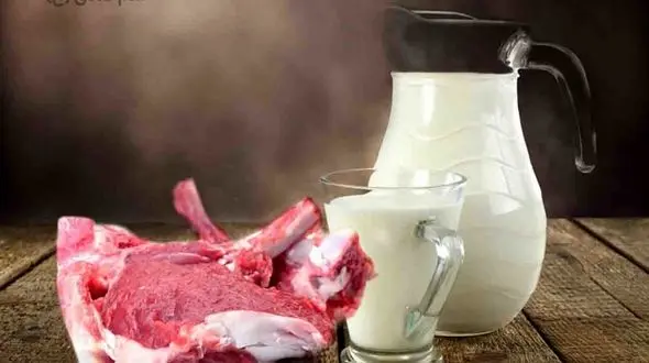 غذایی به نام شیرگوشت + خواص آن