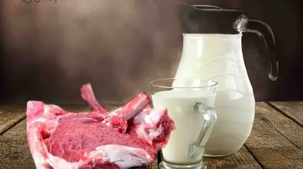 غذایی به نام شیرگوشت + خواص آن