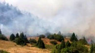  مورد آتش‌سوزی در عرصه‌های طبیعی کهگیلویه و بویراحمد طی سال جاری