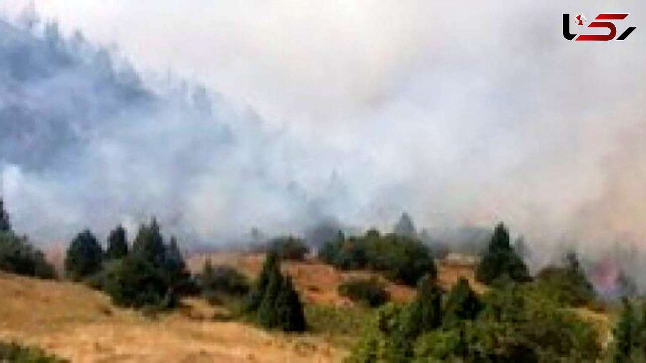 کاهش 97 درصدی آتش سوزی جنگل‌ها و مراتع در سیروان