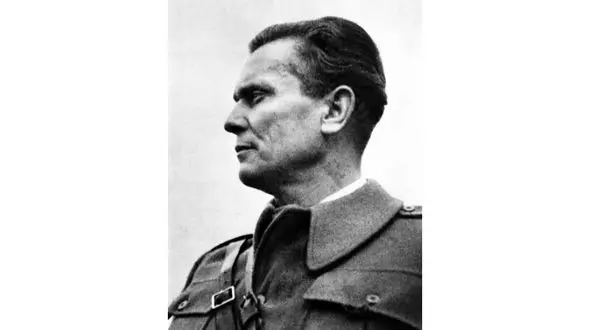 تیتو در دفتر کار